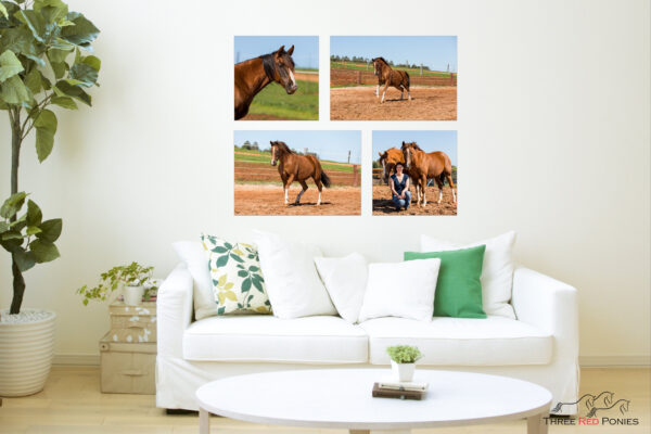 4 piece horse wall art collection