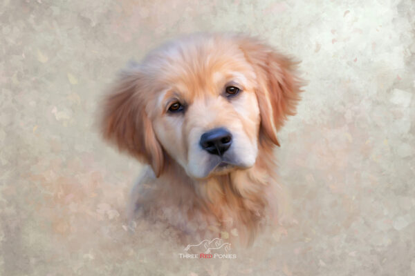 Pet portrait painting golden retriever puppy - dog painting