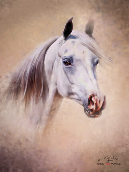 Grey Arabian Horse painting - custom horse paintings