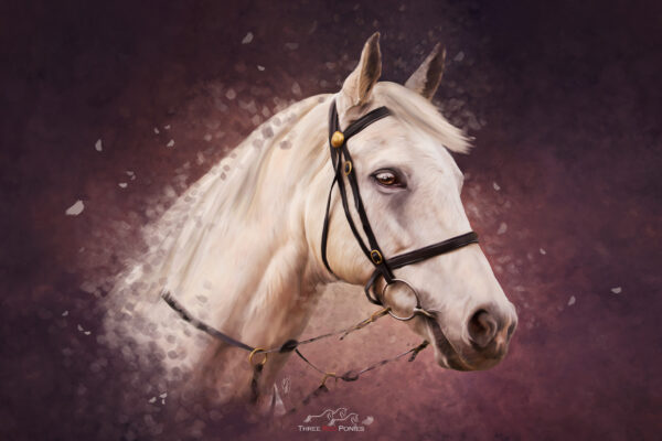 Painting of a grey horse on burgundy background - custom horse painter