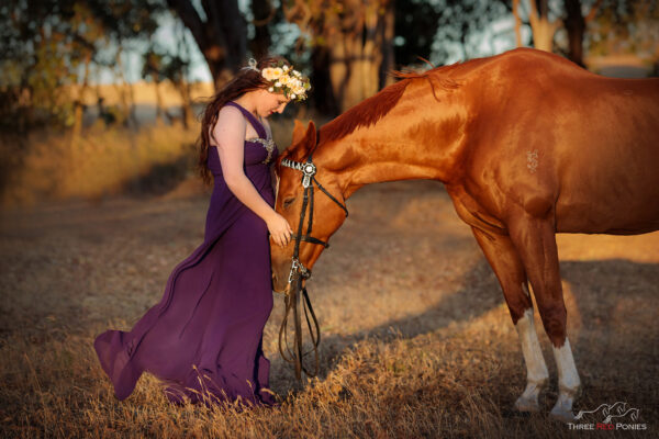 Horse and girl photo - horse photographer