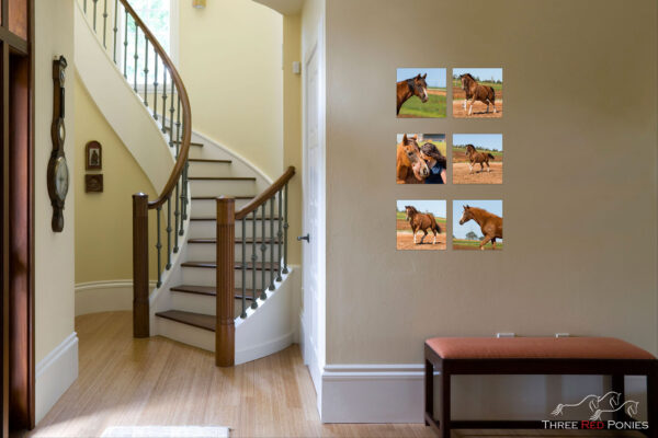 6 horse photo wall art