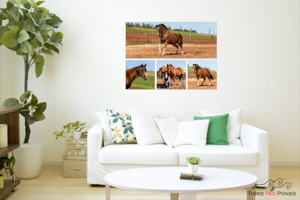 4 piece horse photo wall art collection