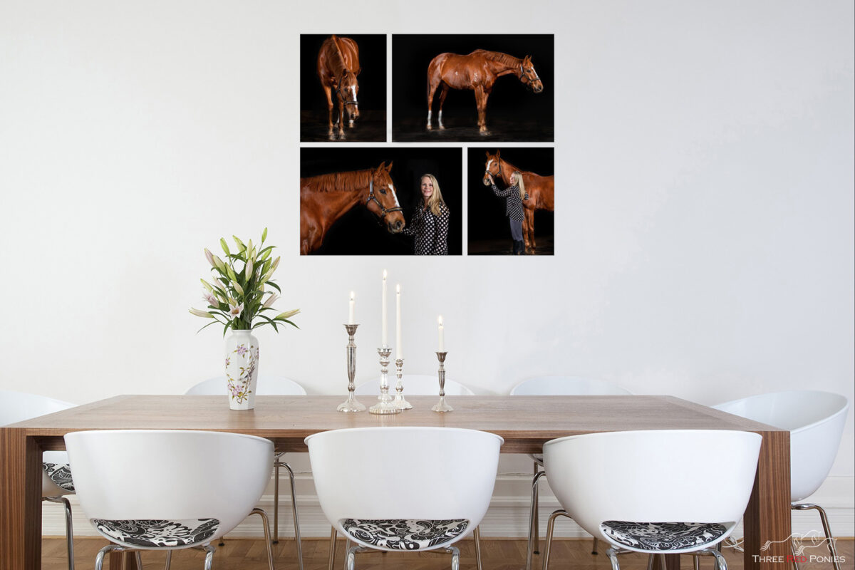 4 piece Horse Wall Art Display - studio horse photographer