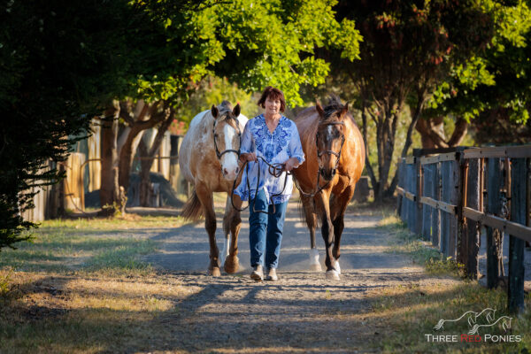 Woman and two horses walking - horse photographer