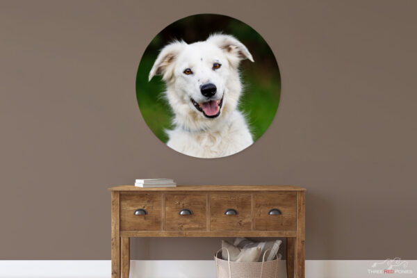 round shape metal print of a dog - finished artwork