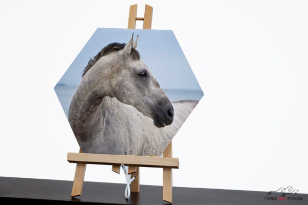 Hexagon metal print of a horse - horse artwork