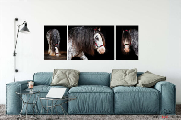 3 piece horse photo wall art collection