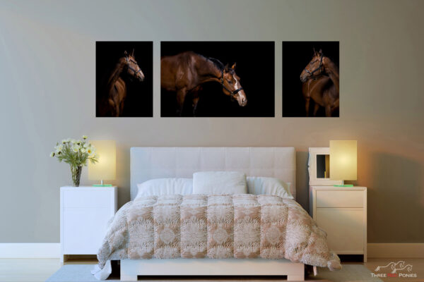3 piece room view studio horse-photography