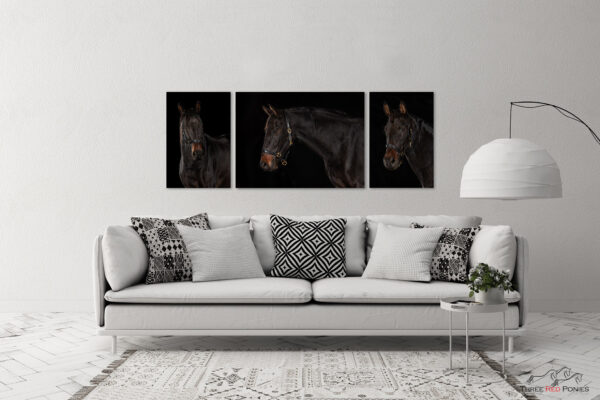 3 piece horse photo wall art collection