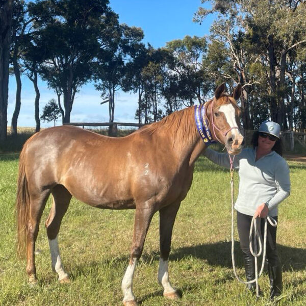 Michelle with her horse - About Three Red Ponies and Michelle