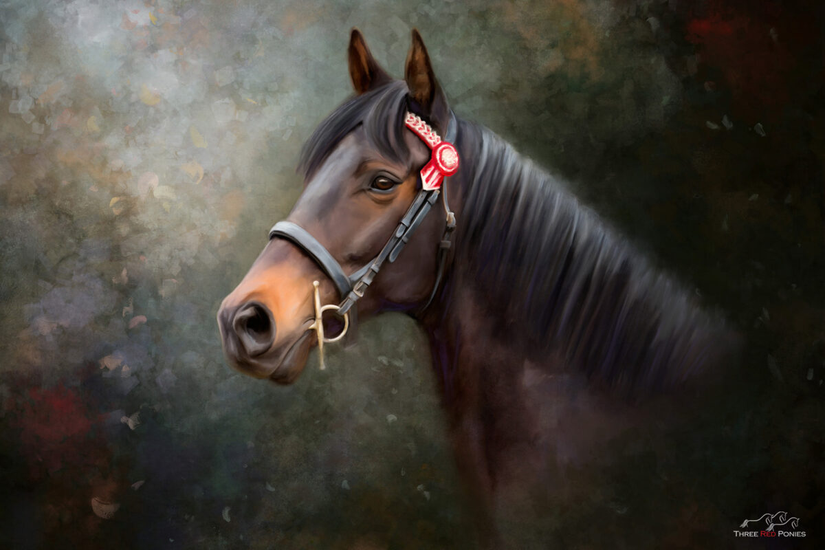 Warmblood horse painting - custom horse paintings