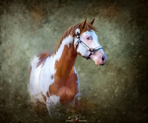 custom horse pet portrait painting - equestrian painter
