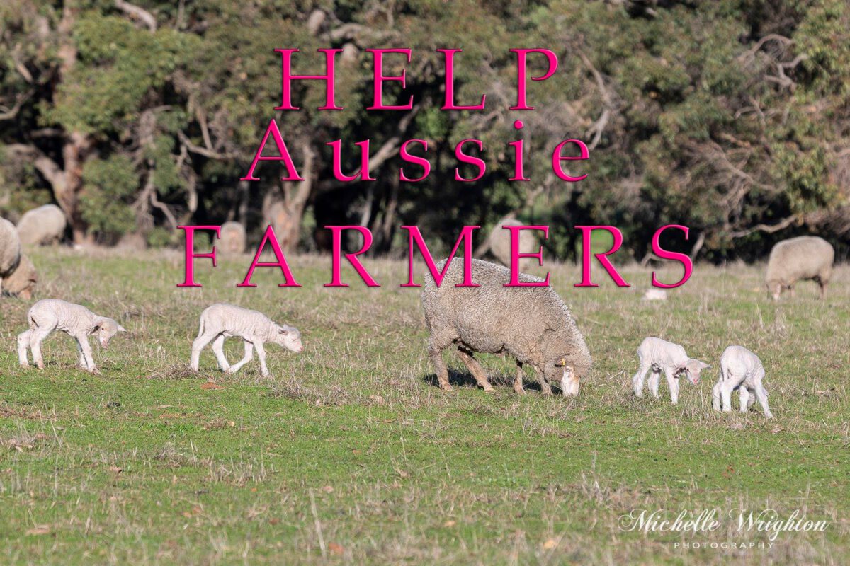 Rural help aussie farmers