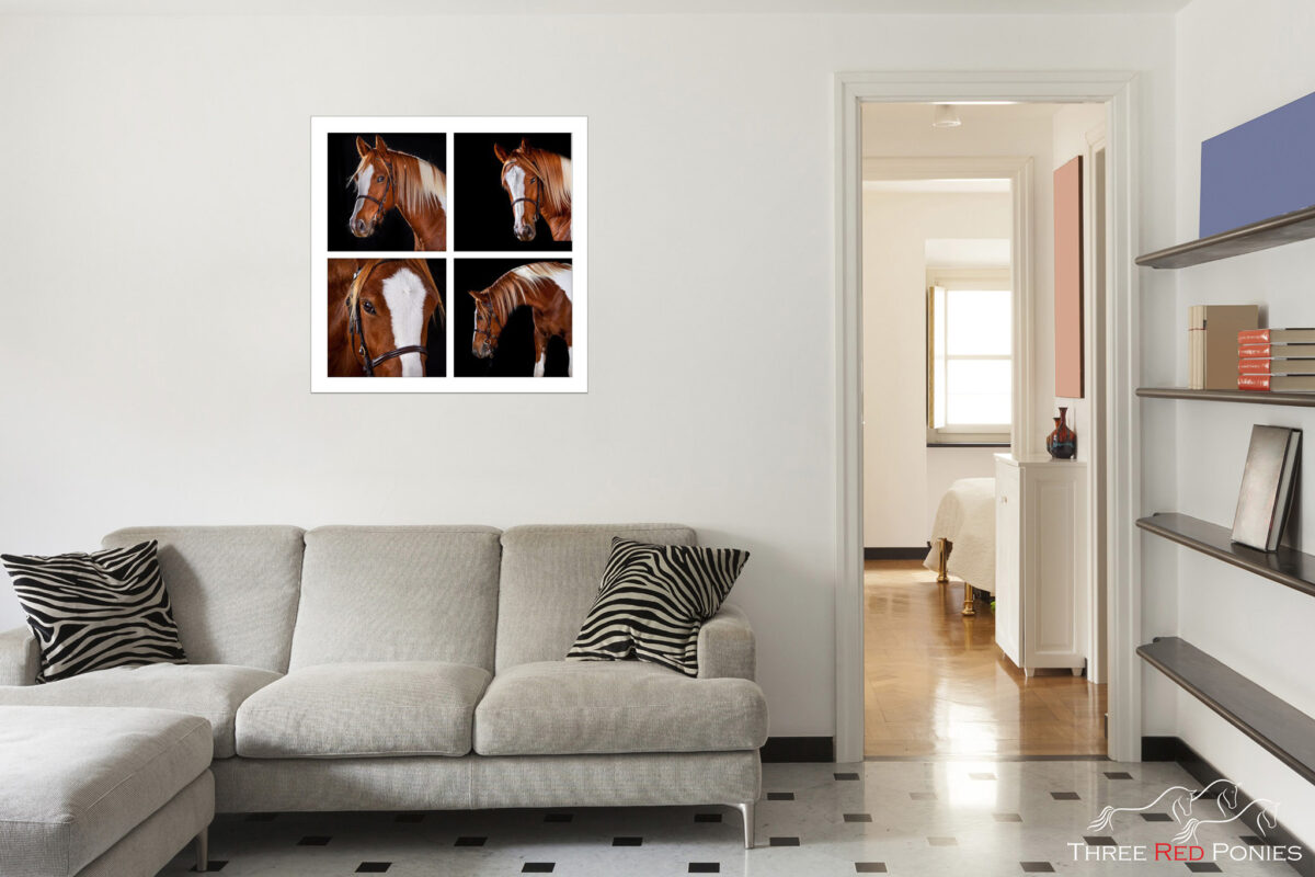 4 photo story board wall art by Three Red Ponies