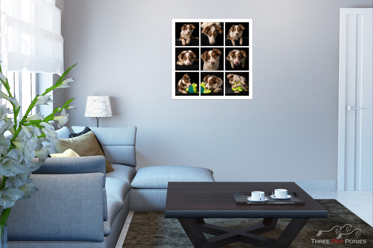 9 photo story board wall art by Three Red Ponies