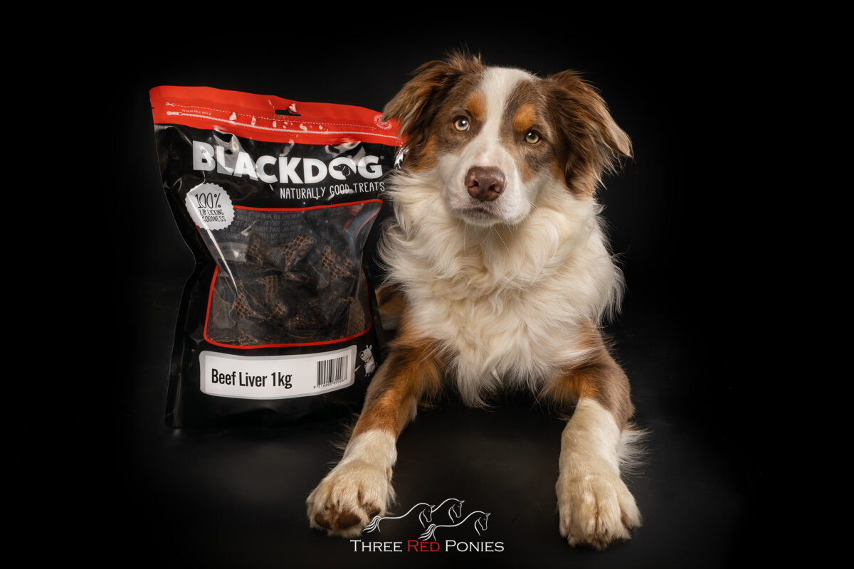 Border Collie and Blackdog Treats Product Photography