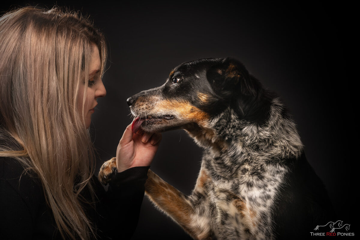 Girl and Border Collie dog Studio portrait photograph by Three Red Ponies