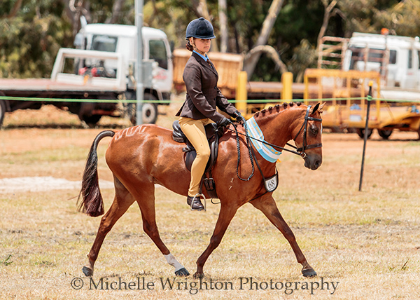 Bridgetown Agricultural Show, Horse and Rider - Horse Photography