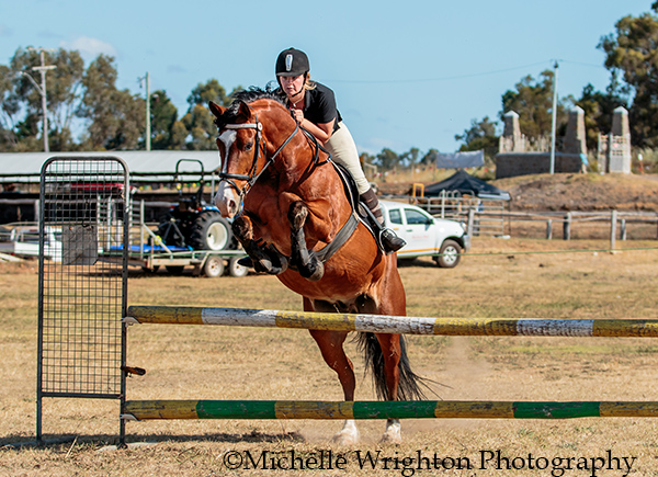 Bridgetown Agricultural Show, Show Jumping Horse and rider - Horse Photography