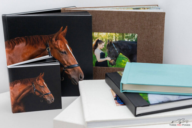 Three Red Ponies photograph albums