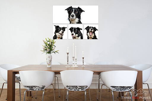 Dog Photography Wall Art