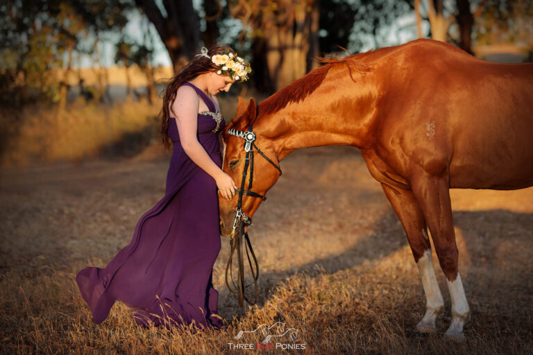 Horse and girl on farm photograph