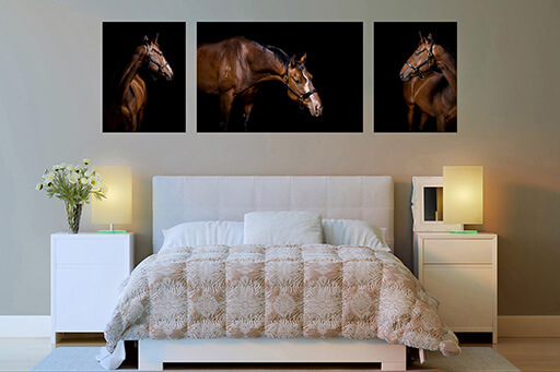 Horse Photography Wall Art by Three Red Ponies