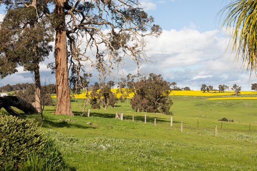 On farm photography studio