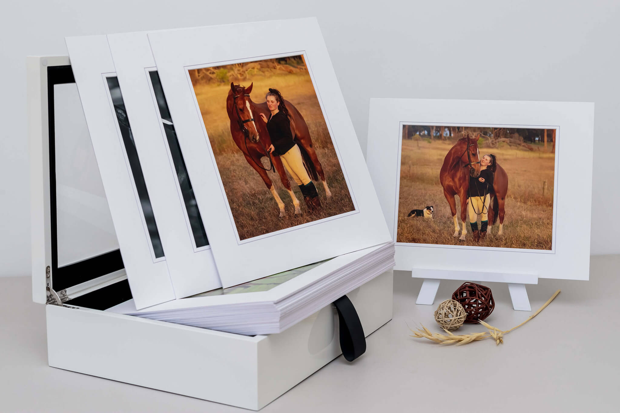 Portrait box with stand horse photography by Three Red Ponies