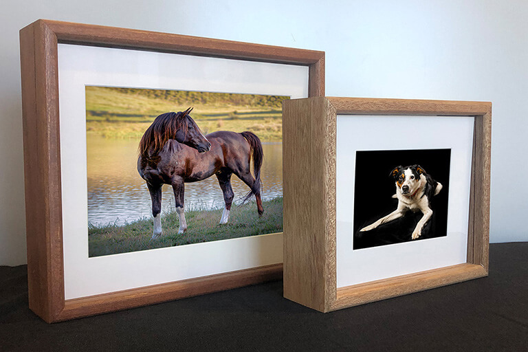 Horse Breed of the month competition for a photoshoot of your pet for stunning studio wall art in your home
