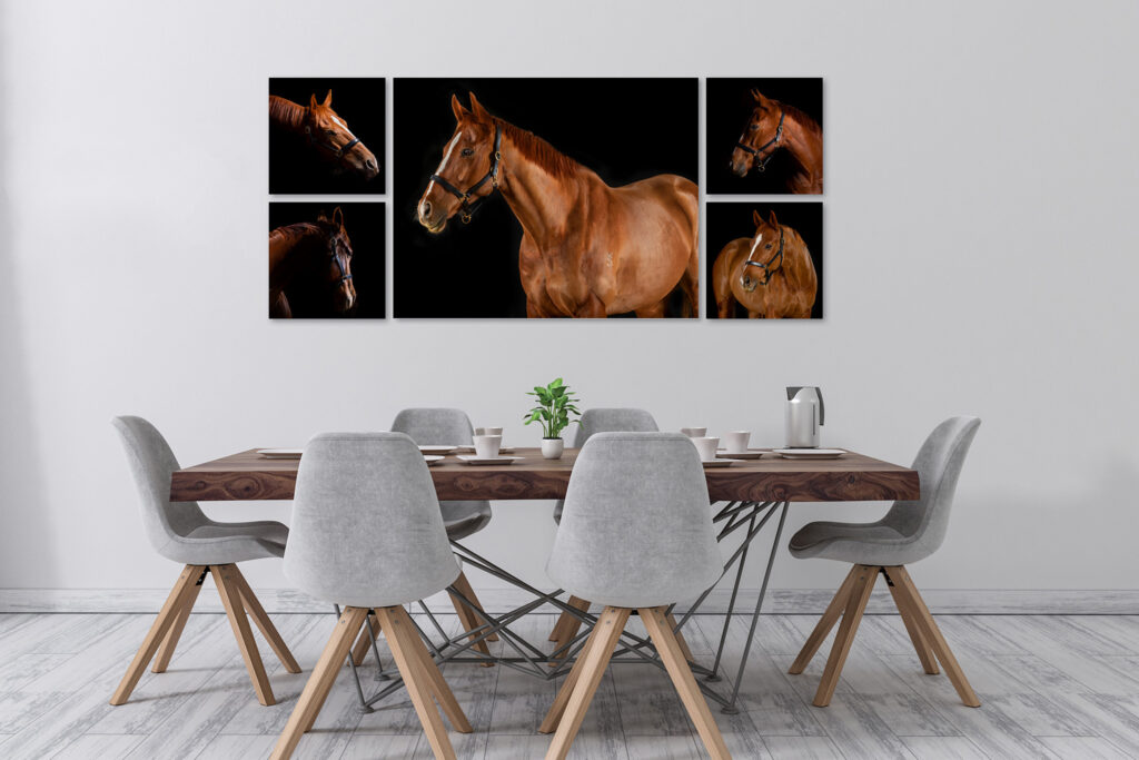 Horse 5 piece wall art collection