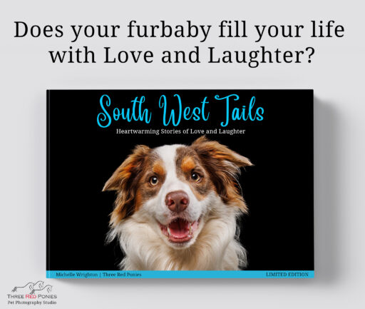 South West Tails does your dog fill your life with love and laughter
