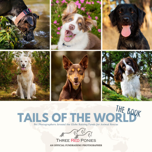 Tails of the world - The Book